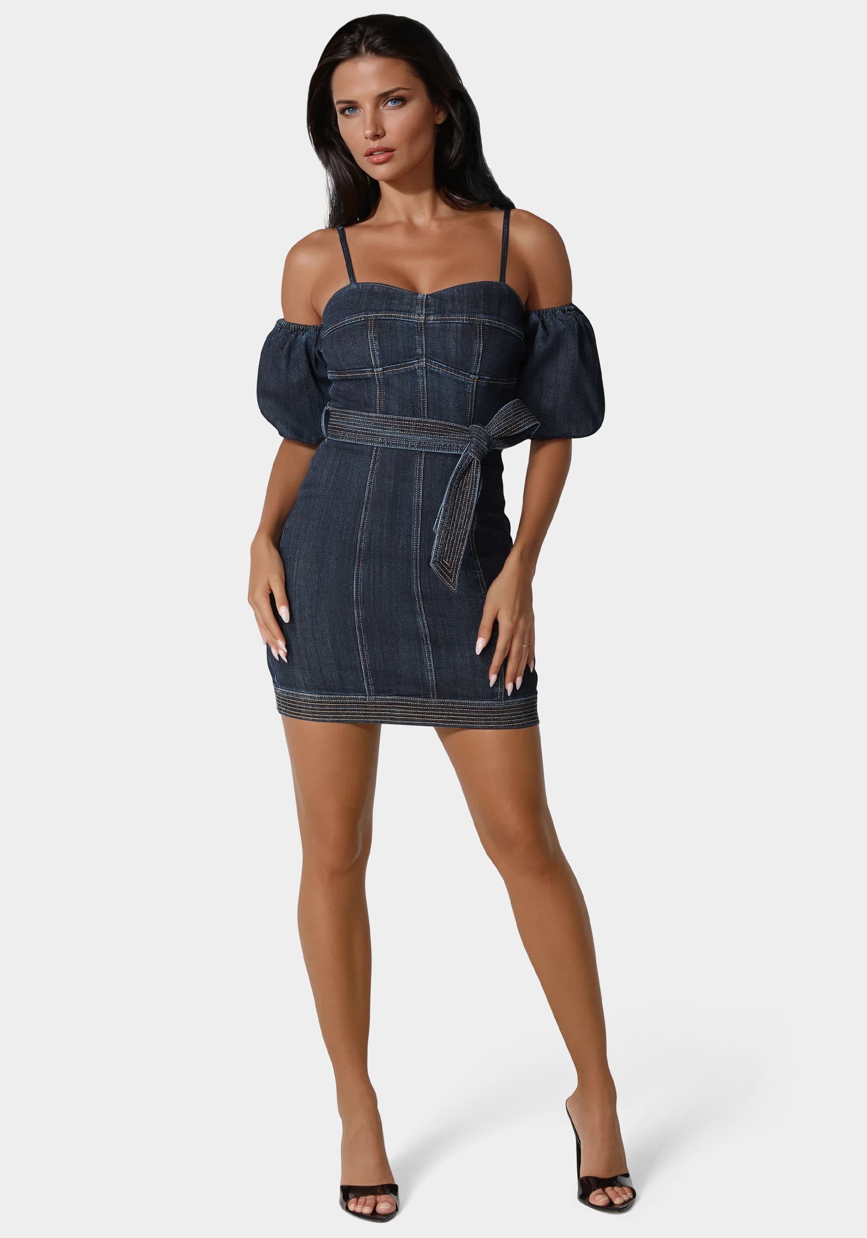 Fitted Denim Dress