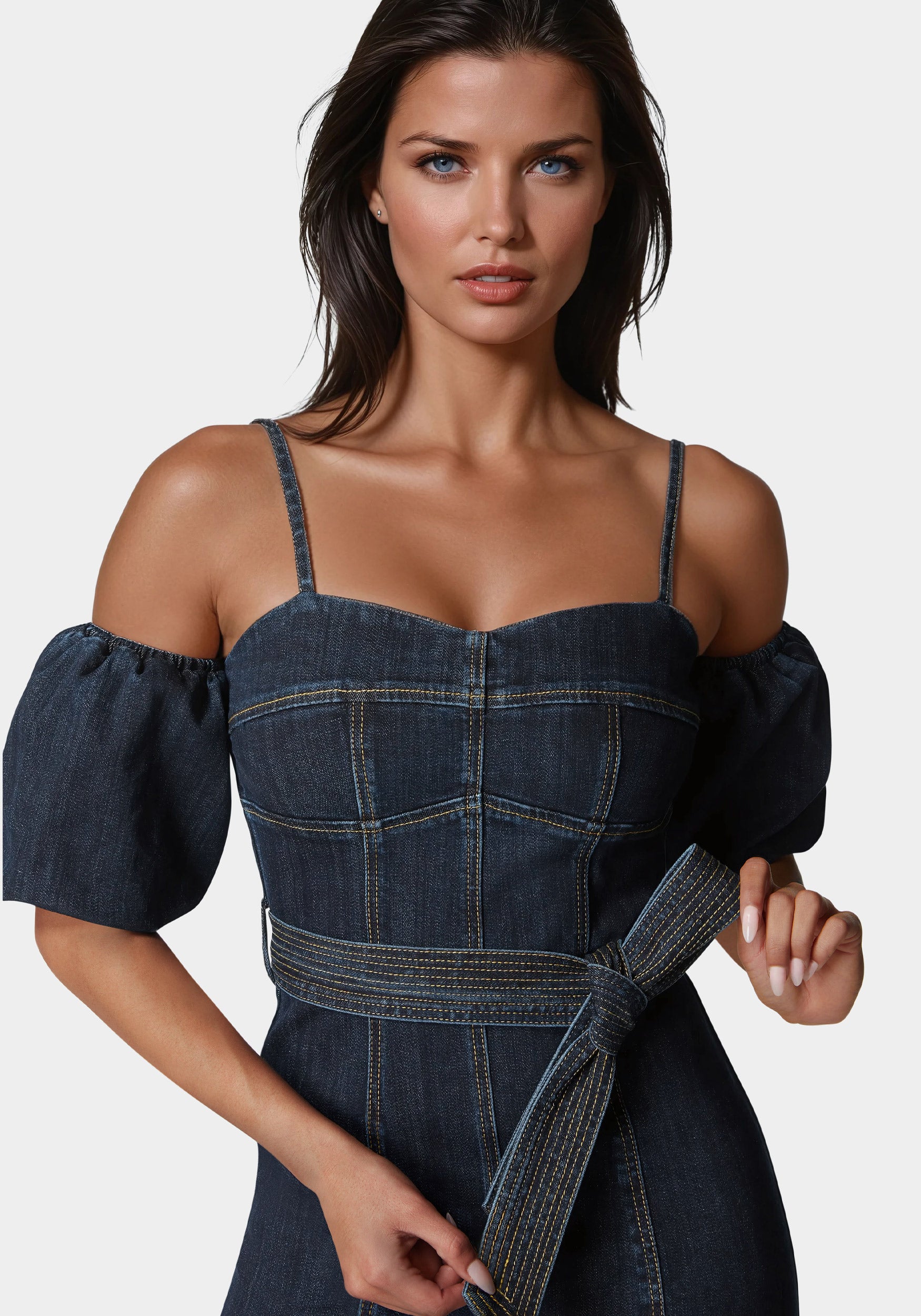 Fitted Denim Dress