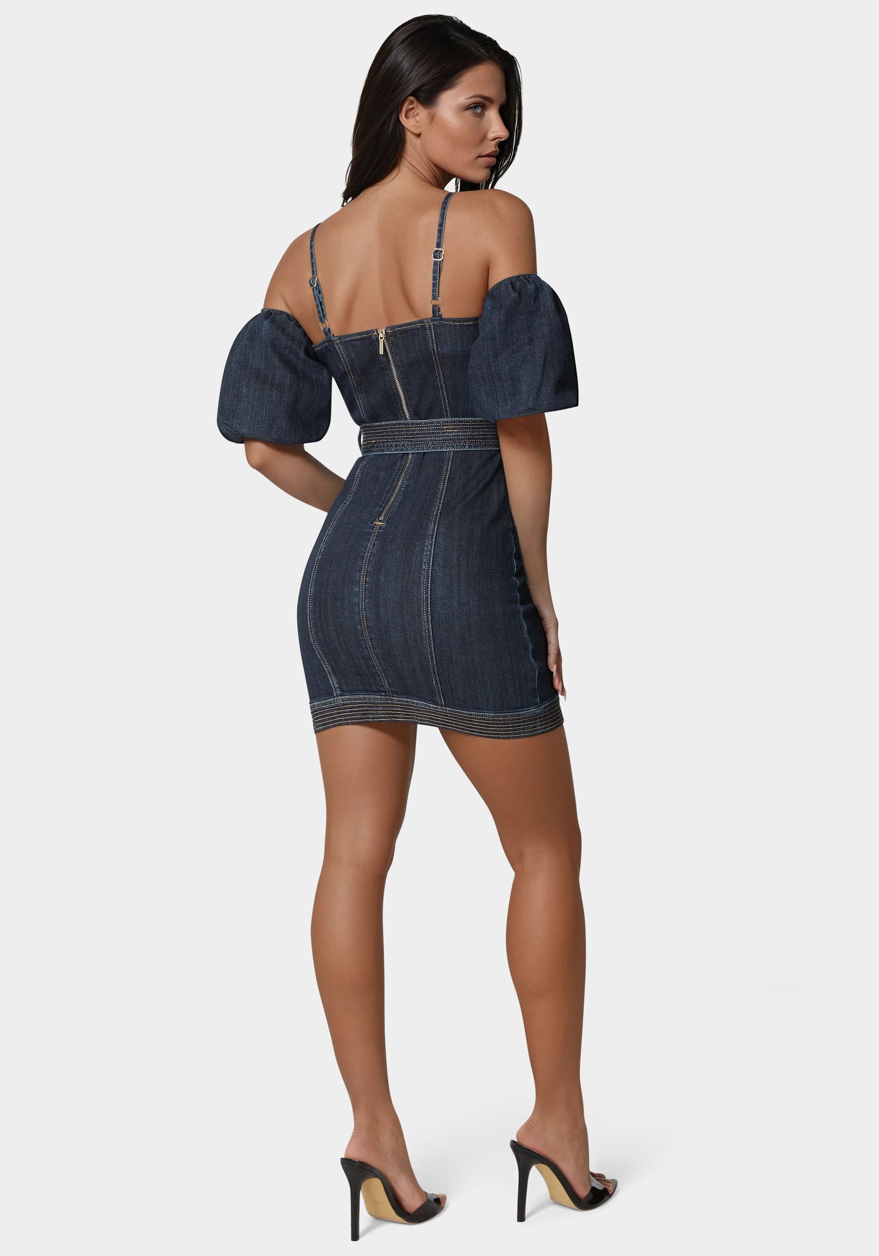 Fitted Denim Dress