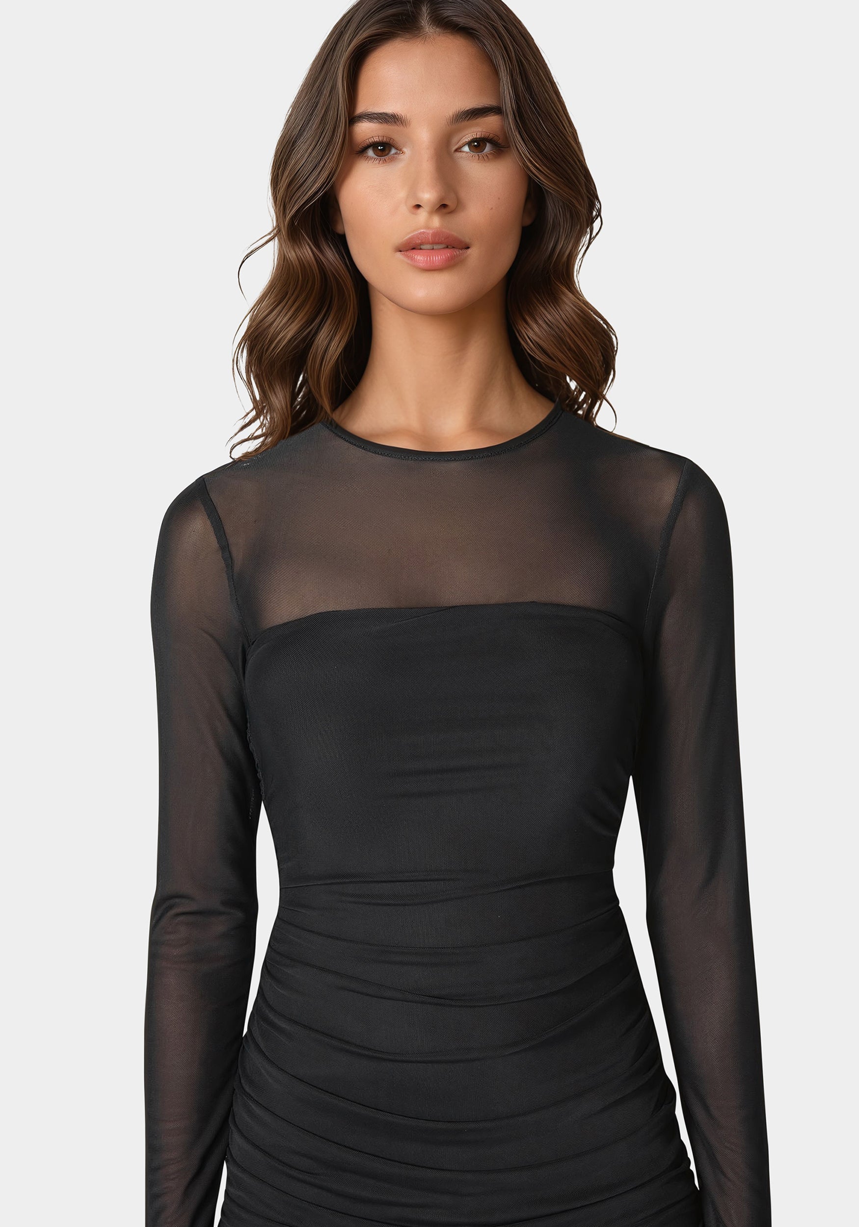 Flounce Mesh Longsleeve Mini Dress