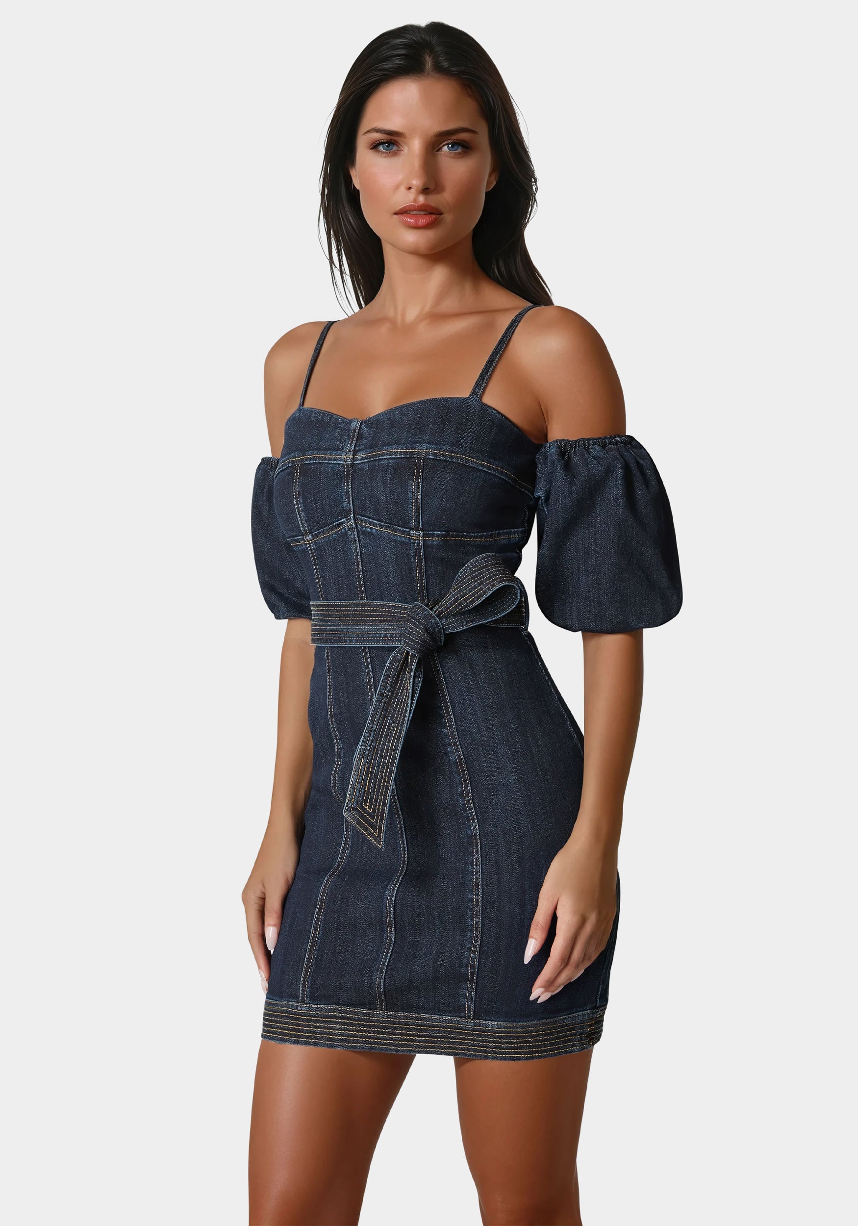 Fitted Denim Dress