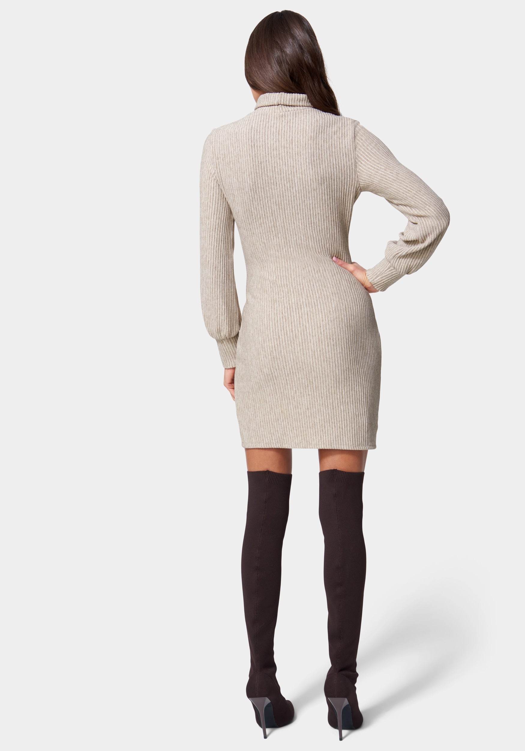 Turtle Neck Sweater Dress