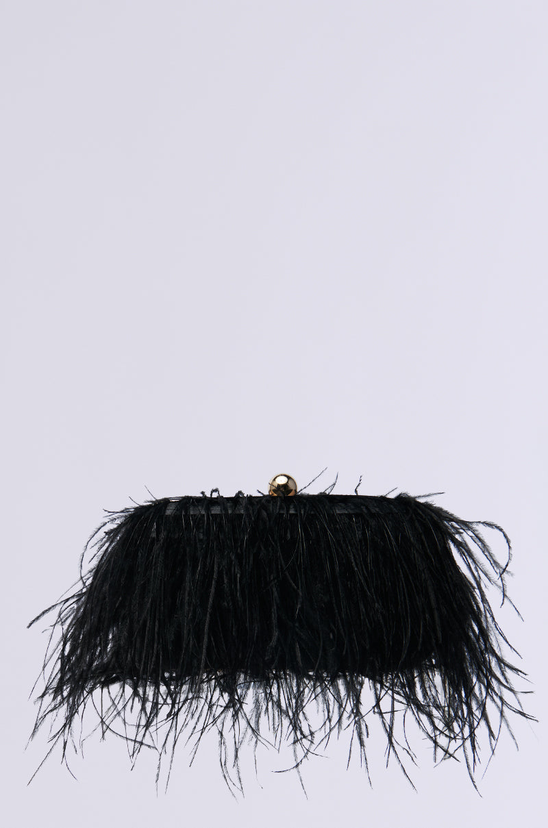 MIDNIGHT IN PARIS FEATHER CLUTCH