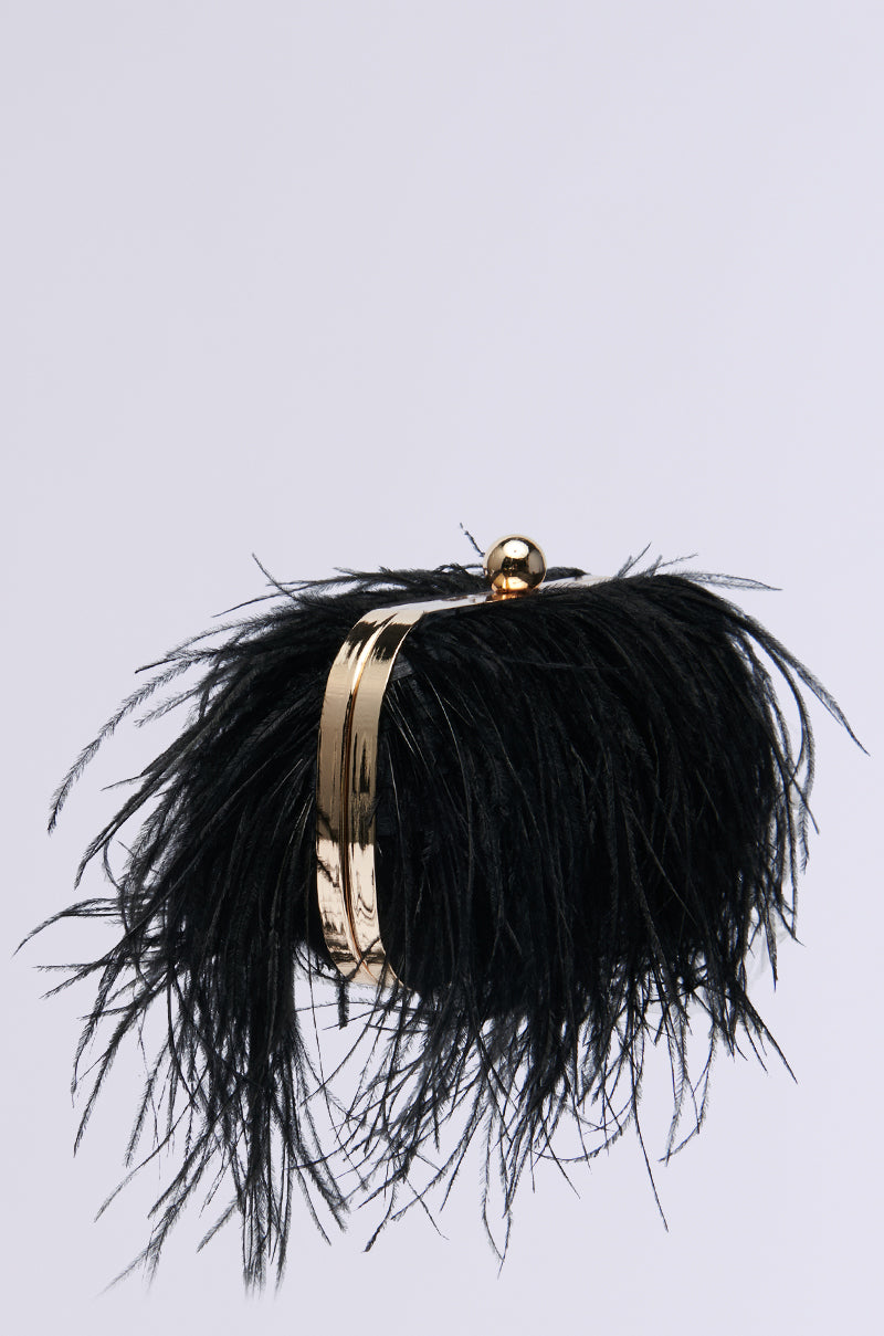 MIDNIGHT IN PARIS FEATHER CLUTCH