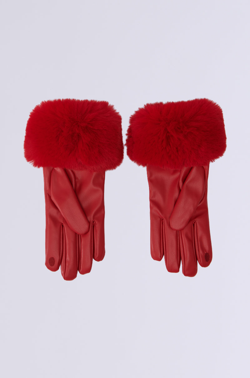 ALL I WANT IS MONEY FUR GLOVES