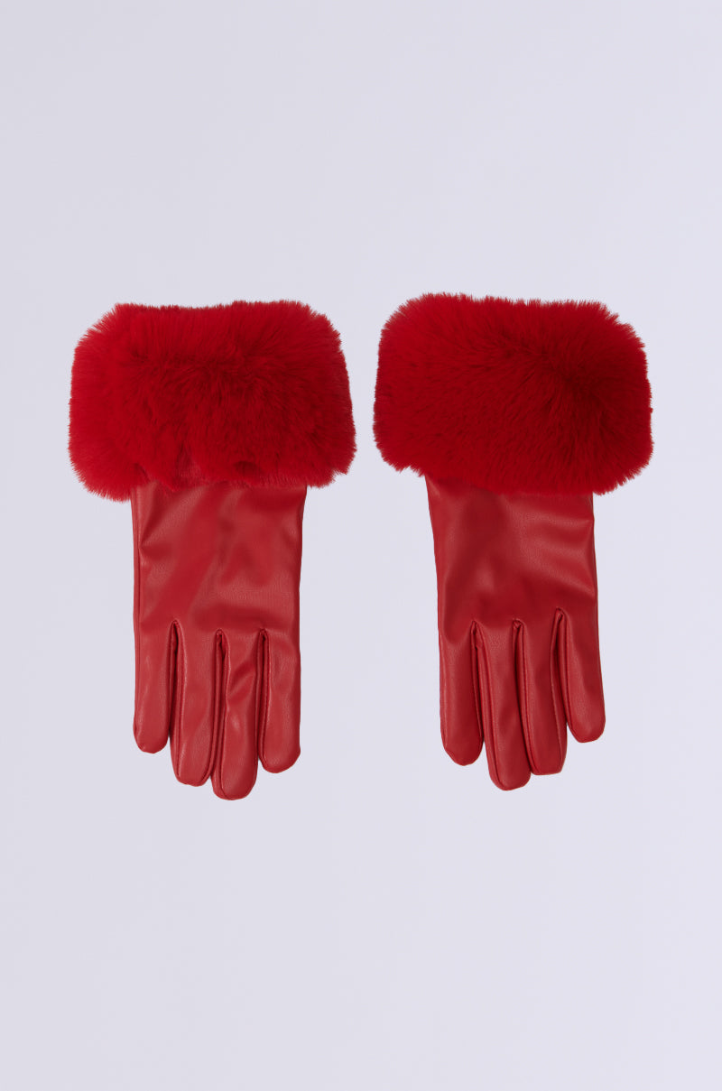 ALL I WANT IS MONEY FUR GLOVES