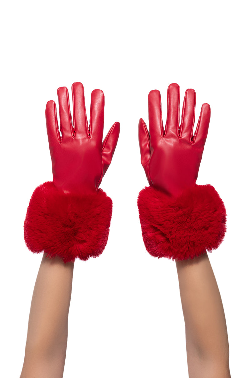 ALL I WANT IS MONEY FUR GLOVES