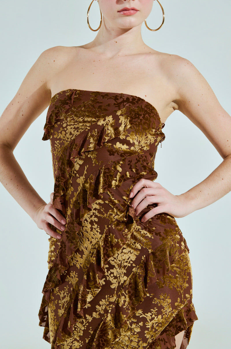 CYRUS VELVET MAXI DRESS IN BROWN