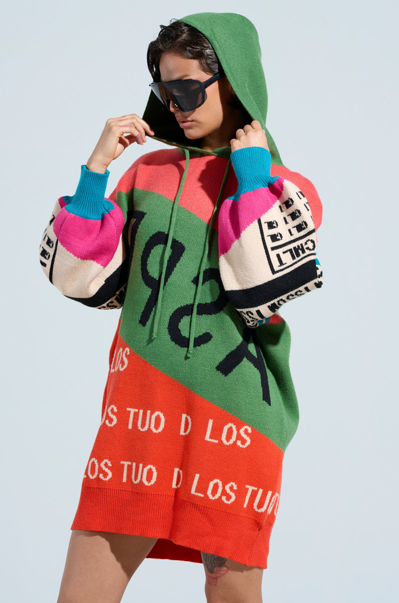 LOUD AND PROUD PULLOVER HOODED SWEATER DRESS