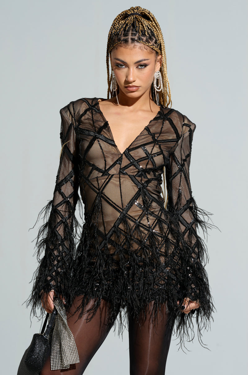 SHOW ME A GOOD TIME MESH MINI DRESS